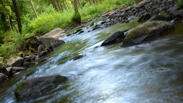 Vallée de la Houille à Vencimont